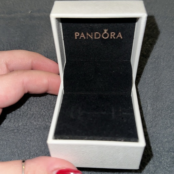Pandora ring box and designer cinched pouches - Picture 5 of 5